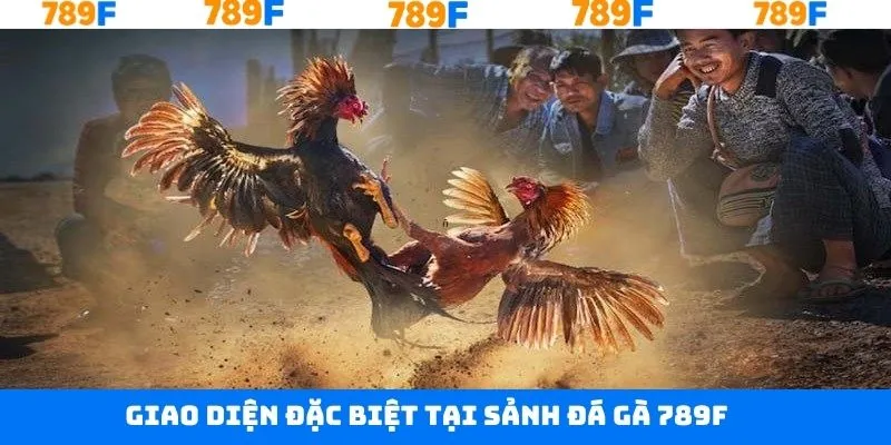 Đồ họa được thiết kế trực quan trong đá gà 789F Đồ họa được thiết kế trực quan trong đá gà 789F