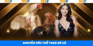 Khuyến Mãi Thể Thao Đá Gà - Cơ Hội Nhận Thưởng Tại 789F