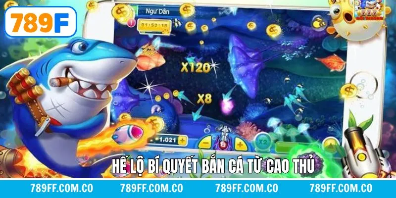 Hé lộ bí quyết bắn cá nâng cao giúp hội viên chiến thắng Hé lộ bí quyết bắn cá nâng cao giúp hội viên chiến thắng