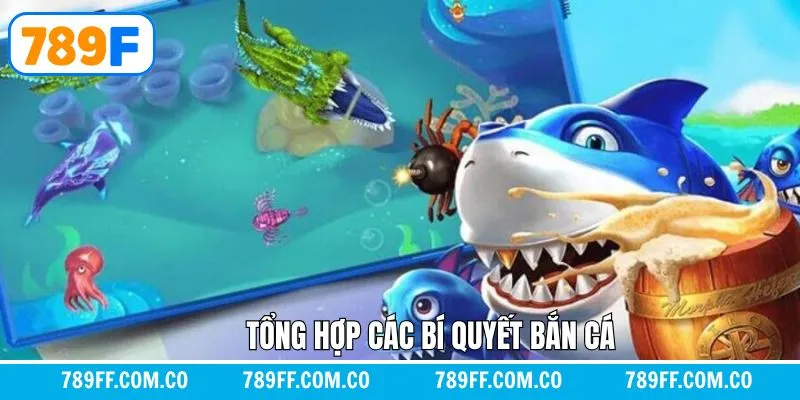 Những kinh nghiệm quý giá khi tham gia săn cá online Những kinh nghiệm quý giá khi tham gia săn cá online