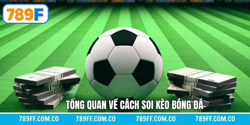 Điển hình về cách soi kèo bóng đá Điển hình về cách soi kèo bóng đá